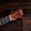 Barnes&Mullins BMUK5C ukulele koncert 